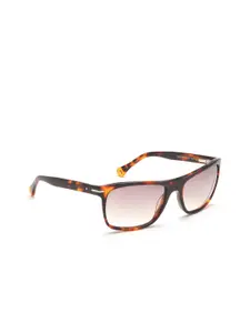 Image Men Pink Lens & Brown Rectangle Sunglasses