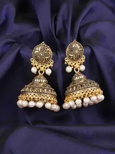 ANIKAS CREATION Gold-Plated Contemporary Jhumkas