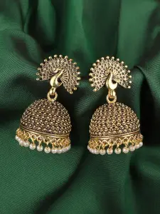 ANIKAS CREATION Gold-Toned Contemporary Jhumkas Earrings