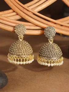 ANIKAS CREATION Gold-Plated Dome Shaped Jhumkas