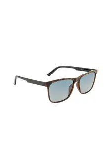 OPIUM Men Blue Lens & Brown Wayfarer Sunglasses with Polarised Lens OP-1900-C02