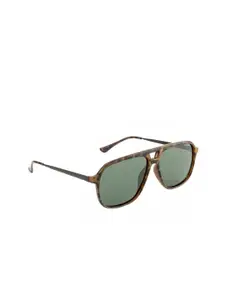 OPIUM Men Green Lens & Brown Rectangle Sunglasses with Polarised Lens