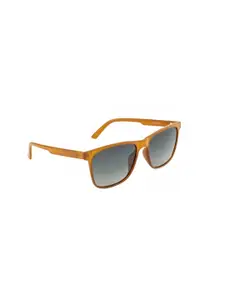 OPIUM Men Green Lens & White Wayfarer Sunglasses with Polarised Lens OP-1900-C04