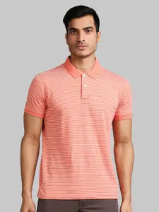 Parx Men Orange & White Striped Polo Collar Cotton T-shirt