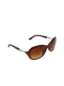 Creature Women Brown Lens & Brown Cateye Sunglasses with UV Protected Lens