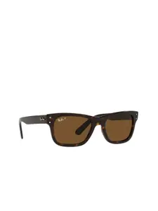 Ray-Ban Men Grey Lens & Brown Rectangle Sunglasses with Polarised Lens
