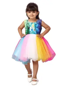 Aarika Multicoloured Net Dress