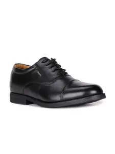 Bata Men Black Solid Formal Oxfords