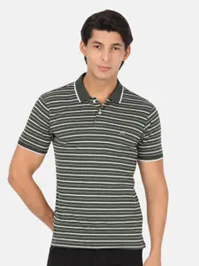Crocodile Men Olive Green & White Striped Polo Collar Slim Fit Cotton T-shirt
