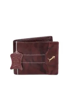 WILD EDGE Men Brown Textured Leather Two Fold Wallet