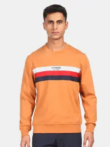 Arrow Sport Men Brown Striped Sweatshirt