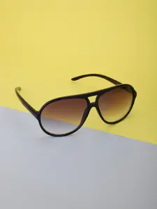 Carlton London Women Black Lens & Black Browline Sunglasses with UV Protected Lens