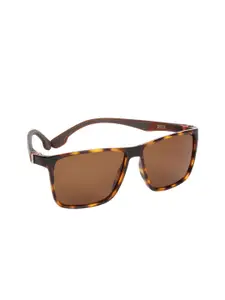 Scavin Men Brown Lens & Brown Square Sunglasses with Polarised Lens SCA S19902 DA