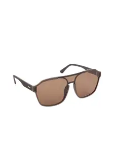 Scavin Men Brown Lens & Brown Aviator Sunglasses with UV Protected Lens
