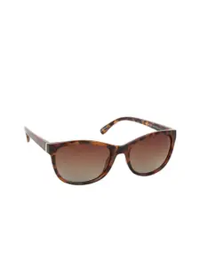 Scavin Women Brown Lens & Brown Square Sunglasses with Polarised Lens