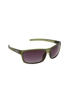 Scavin Men Grey Lens & Green Wayfarer Sunglasses with UV Protected Lens SCA S903