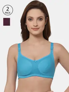 Floret Set Of 2 Turquoise Blue & Burgundy Non Padded & Non Wired Solid Bra