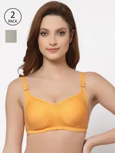 Floret Pack of 2 Yellow & Green Solid Minimizer Bras