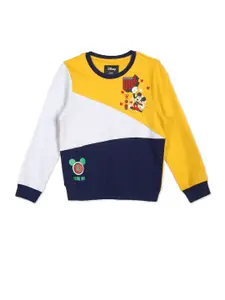 Colt Boys Yellow & Navy Blue Colourblocked Sweatshirt