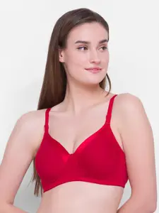 Candyskin Red Lightly Padded Non Wired Solid Cotton Bra