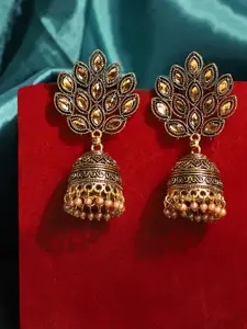 ANIKAS CREATION Gold-Toned Contemporary Jhumkas Earrings