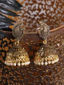 ANIKAS CREATION Gold-Plated Contemporary Jhumkas Earrings