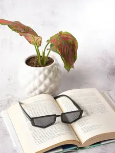 HAUTE SAUCE by  Campus Sutra HAUTE SAUCE by Campus Sutra Women Grey Lens & Black Other Sunglass  SS22_HSSG1009