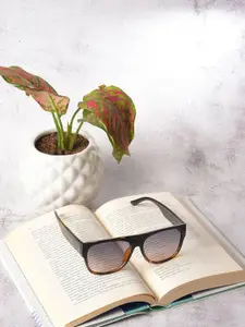 HAUTE SAUCE by  Campus Sutra HAUTE SAUCE by Campus Sutra Women Purple Lens & Black Printed Wayfarer Sunglasses