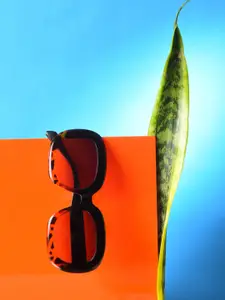 HAUTE SAUCE by  Campus Sutra HAUTE SAUCE by Campus Sutra Women Purple Lens & Printed Black Wayfarer Sunglass