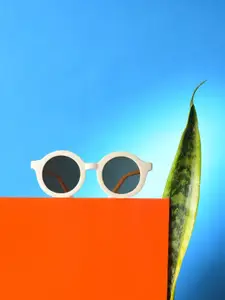 HAUTE SAUCE by  Campus Sutra HAUTE SAUCE by Campus Sutra Women Brown Lens & Brown Oval Sunglasses with UV Protected Lens