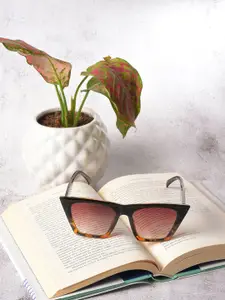 HAUTE SAUCE by  Campus Sutra HAUTE SAUCE by Campus Sutra Women Brown Lens & Black Butterfly Sunglasses with UV Protected Lens