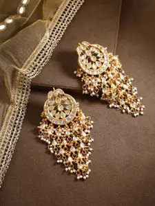 Bamboo Tree Jewels Gold-Toned Classic Jhumkas Earrings