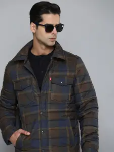 Levis Men Brown and Blue Checked Quilted Jacket