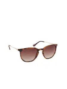 Lee Cooper Women Brown Lens & Brown Square Sunglasses with UV Protected Lens