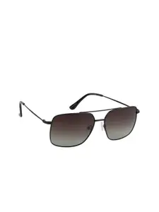 Lee Cooper Men Brown Lens & Black Square Sunglasses with Polarised Lens LC9189TWA C3
