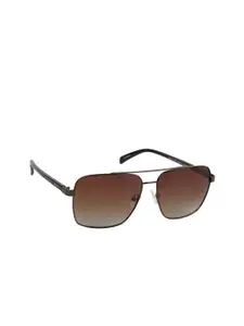 Lee Cooper Men Brown Lens & Brown Square Sunglasses with Polarised Lens LC9190TWA C2-Brown
