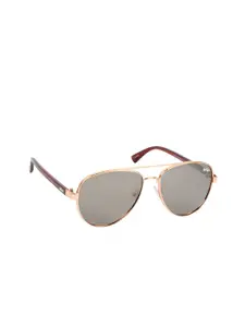 Lee Cooper Men Grey Lens & Gold-Toned Aviator Sunglasses with Polarised Lens