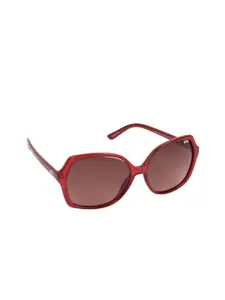 Lee Cooper Women Brown Lens & Red Square Sunglasses with Polarised Lens LC9164NTPOL