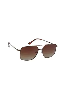 Lee Cooper Men's Brown Sunglasses