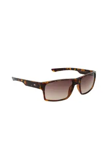 Tommy Hilfiger Men Brown Lens Rectangle Sunglasses with UV Protected Lens TH Neil C2 58 S