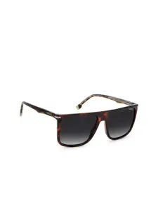 Carrera Men Grey Lens & Brown Full Rim Square Sunglasses