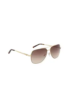 Tommy Hilfiger Men Brown Lens & Gold-Toned UV Protected Aviator Sunglasses C2 59 S