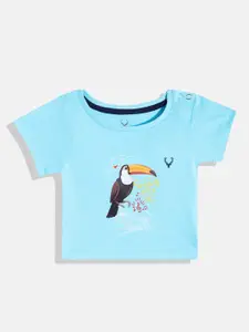 Allen Solly Junior Infant Boys Printed Pure Cotton T-shirt