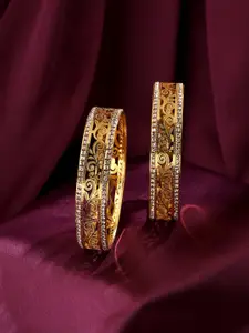 VIRAASI Women Set of 2 Gold-Plated Stone Studded Bangles