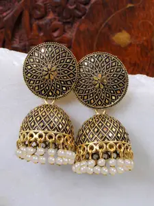 Crunchy Fashion Gold-Toned Dome Shaped Jhumkas Earrings