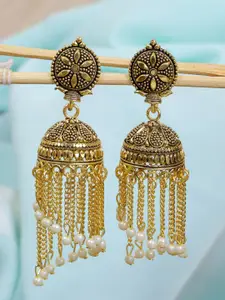 Crunchy Fashion Gold-Toned Contemporary Jhumkas Earrings