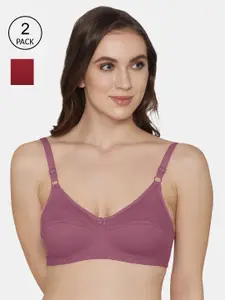 K LINGERIE Women Pack Of 2 Maroon And Purple Solid Cotton Bra