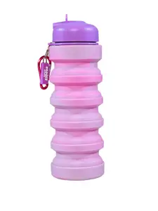Smily Kiddos Kids Purple & Pink Colorblocked Water Bottle