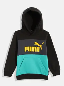 Puma Boys Regular Fit Essentials Hooded Sweatshirt