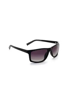 Nautica Men Purple Lens & Black Rectangle Sunglasses with Polarised and UV Protected Lens